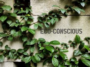 Green,plant,climber,on,wall,with,text,eco Conscious,,concept,of