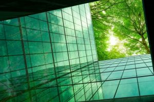 Eco Friendly,building,in,the,modern,city.,green,tree,branches,with